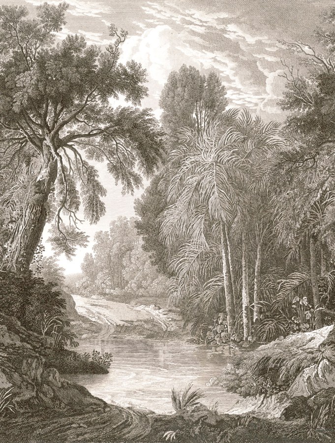 Vliesová obrazová tapeta na zeď, hnědo-šedá, les, stromy, FW4019-2, Feature Walls, Decoprint - Vliesové tapety