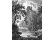 Vliesová obrazová tapeta na zeď, černá, les, stromy, FW4019-1, Feature Walls, Decoprint