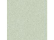 Vliesová tapeta na zeď, zelená, stěrka, AM25304, Shades of Colour, Decoprint