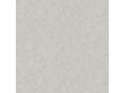 Vliesová tapeta na zeď, šedá, stěrka, AM25303, Shades of Colour, Decoprint