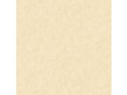 Vliesová tapeta na zeď, okrová, stěrka, AM25302, Shades of Colour, Decoprint