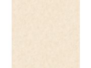Vliesová tapeta na zeď, béžová, stěrka, AM25301, Shades of Colour, Decoprint