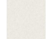 Tapety Yara Tapety dle materiálu Vliesové tapety - Vliesová tapeta na zeď, bílo-šedá, stěrka, AM25300, Shades of Colour, Decoprint Vliesová tapeta na zeď, bílo-šedá, stěrka, AM25300, Shades of Colour, Decoprint