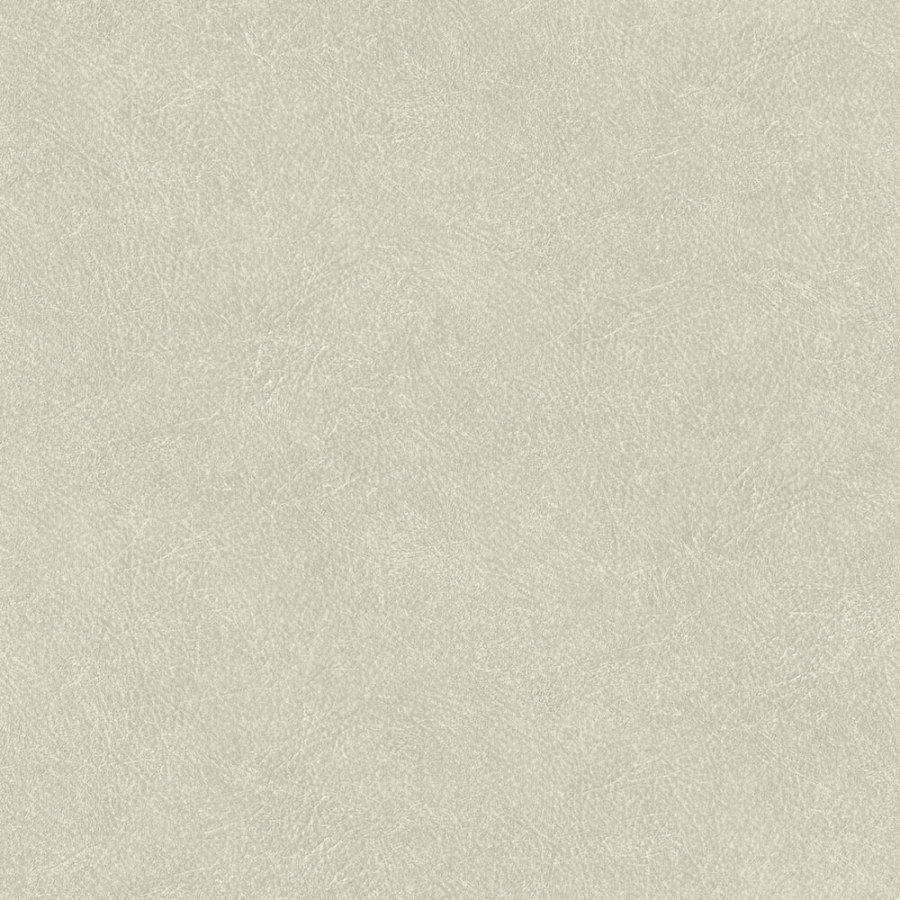 Vliesová světle šedá tapeta imitace kůže TA25020 Tahiti, Shades of Colour, Decoprint - Vliesové tapety