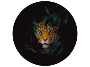 Předklížená vliesová tapeta na zeď, dekorace Leopard, PLC052, Platinum Shapes, Decoprint