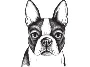 Předklížená vliesová tapeta na zeď, dekorace Buldok, PLC017, Platinum Shapes, Decoprint