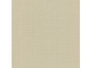 Luxusní béžová vliesová tapeta na zeď, Z12834, Automobili Lamborghini 3