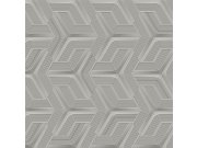 Luxusní šedá geometrická vliesová tapeta na zeď, Z12811, Automobili Lamborghini 3