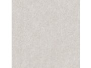 Šedá strukturovaná vliesová tapeta na zeď, TP422905, Tapestry, Design ID