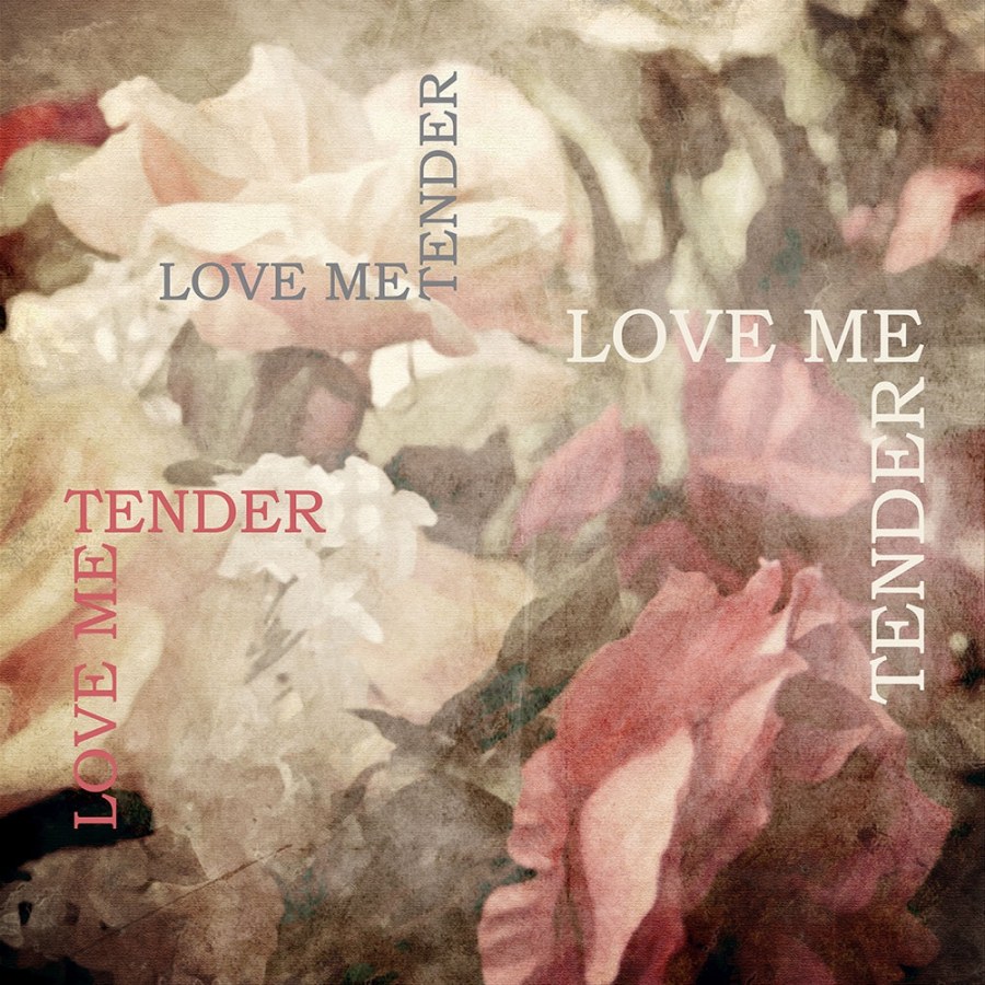 Vliesová obrazová tapeta 3004 Lorem Ipsun Růže, 260 x 260cm, My Dream, Vavex - Tapety na zeď