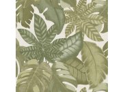 Béžovo-zelená vliesová tapeta na zeď, tropické zelené listy, 26415, Thai, Cristiana Masi by Parato