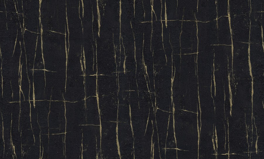 Luxusní černá vliesová tapeta, imitace popraskané omítky, 86051, Valentin Yudashkin 5, Emiliana Parati - Vliesové tapety