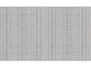 Tapety Yara Emiliana Parati - Luxusní stříbrná vliesová tapeta, 86041, Valentin Yudashkin 5, Emiliana Parati Luxusní stříbrná vliesová tapeta, 86041, Valentin Yudashkin 5, Emiliana Parati