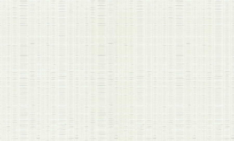 Tapety Yara - Tapety dle materiálu - Vliesové tapety - Luxusní bílo-stříbrná vliesová tapeta, 86040, Valentin Yudashkin 5, Emiliana Parati Luxusní bílo-stříbrná vliesová tapeta, 86040, Valentin Yudashkin 5, Emiliana Parati - Vliesové tapety