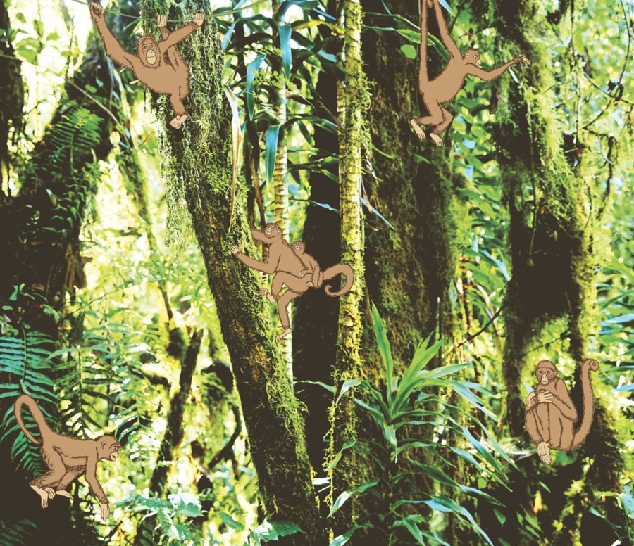 Fototapeta na zeď -  Opice v pralese 364155, Wallpower Junior, Eijffinger - Vliesové tapety