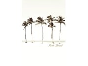 Obrazová tapeta vliesová Palmy 364148, Wallpower Junior, Eijffinger