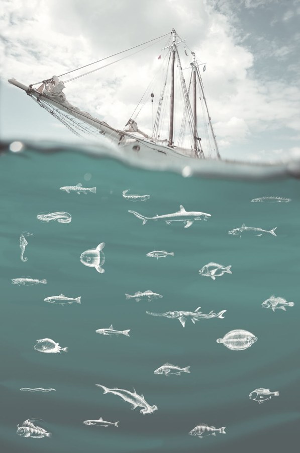 Tapety Yara - Tapety dle materiálu - Vliesové tapety - Fototapeta na zeď - Loď na moři 364141 , Wallpower Junior, Eijffinger Fototapeta na zeď - Loď na moři 364141 , Wallpower Junior, Eijffinger - Vliesové tapety