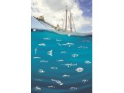 Fototapeta na zeď -  Loď na moři 364140 , Wallpower Junior, Eijffinger