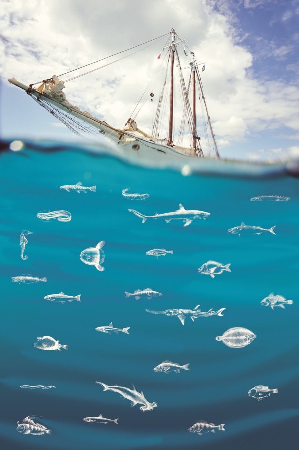 Fototapeta na zeď -  Loď na moři 364140 , Wallpower Junior, Eijffinger - Vliesové tapety