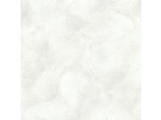 Vliesová tapeta s vinylovým povrchem, Štuk, 39621, Villa Carlotta, Limonta