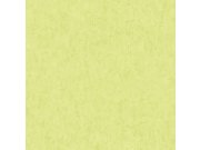 VÝPRODEJ Zelená vliesová tapeta na zeď J85004, Couleurs, Ugépa