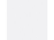 Tapety Yara Tapety dle materiálu Vliesové tapety - Bílá perlová vliesová tapeta na zeď, větvičky z perliček 105163, Reclaim, Graham&Brown Bílá perlová vliesová tapeta na zeď, větvičky z perliček 105163, Reclaim, Graham&Brown