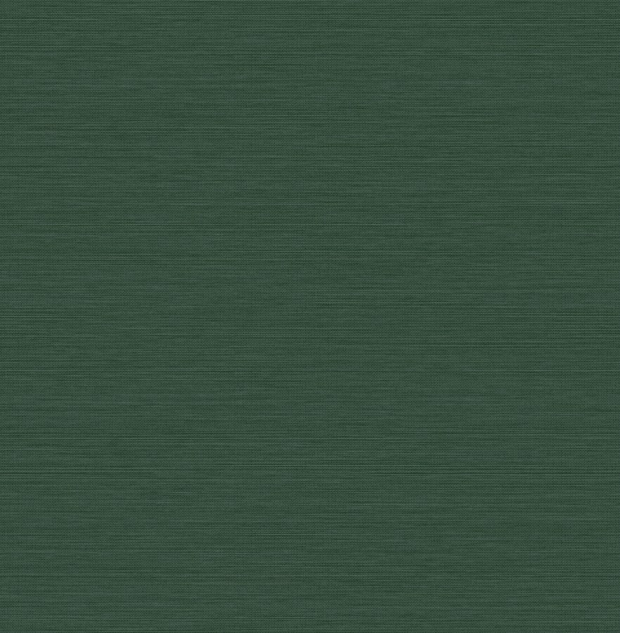 Jednobarevná zelená vliesová tapeta na zeď, imitace látky, 120892, Envy - Vliesové tapety