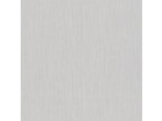 Světle šedá žíhaná vliesová tapeta na zeď 221200, The Marker, BN Walls