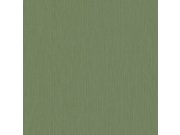 Zelená vliesová tapeta na zeď, 220420, Preloved, BN Walls