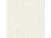 Světle šedá vliesová tapeta s bílými flíčky DD3803, Dazzling Dimensions 2, York