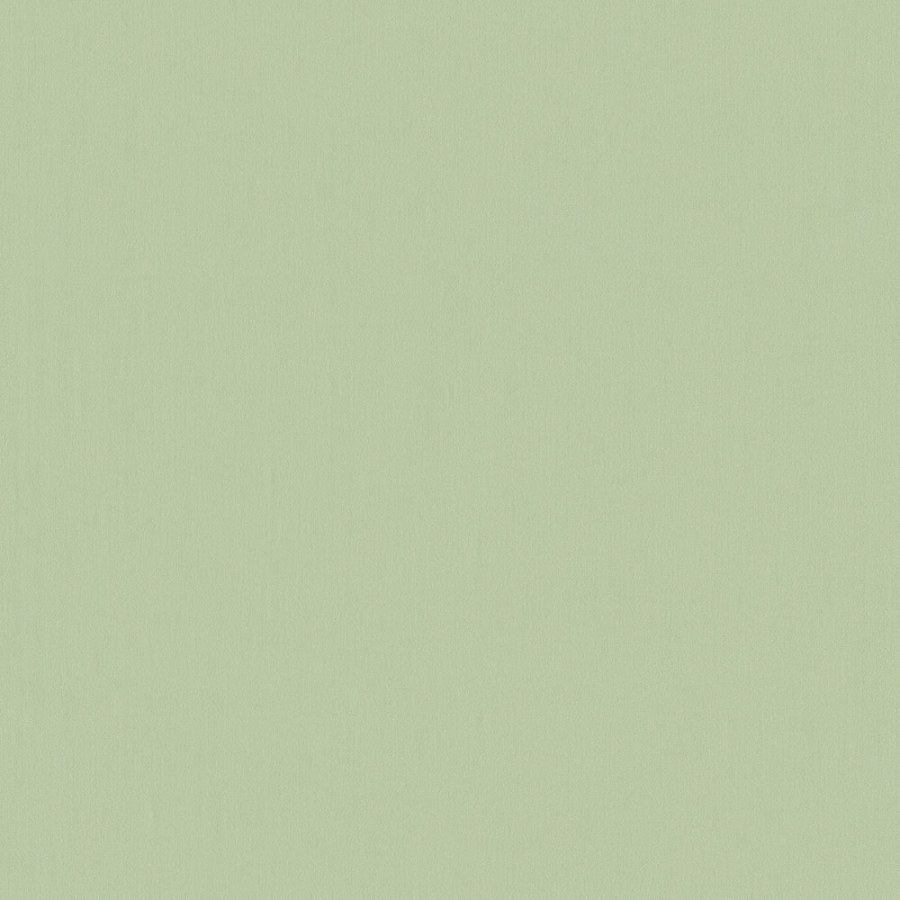 Jednobarevná zelená vliesová tapeta 220802, Doodleedo, BN Walls - Vliesové tapety