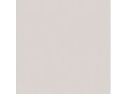 Jednobarevná šedá vliesová tapeta na zeď 220811, Doodleedo, BN Walls