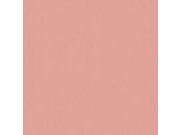 Jednobarevná růžová vliesová tapeta na zeď 220813, Doodleedo, BN Walls