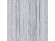 Tapety Yara Tapety dle materiálu Vliesové tapety - Šedá žíhaná vliesová tapeta na zeď, 221015, Imagine, BN Walls Šedá žíhaná vliesová tapeta na zeď, 221015, Imagine, BN Walls