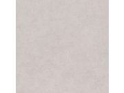 Šedá vliesová tapeta na zeď, Štuková omítka, 221051, Imagine, BN Walls