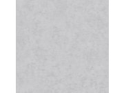 Strukturovaná vliesová tapeta na zeď světle šedá, AF24501, Affinity, Decoprint