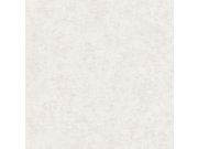 Strukturovaná vliesová tapeta na zeď světle šedá, AF24500, Affinity, Decoprint