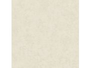 Strukturovaná vliesová tapeta na zeď krémová, AF24502, Affinity, Decoprint