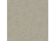 Strukturovaná vliesová tapeta na zeď šedá, AF24504, Affinity, Decoprint