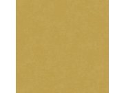 Strukturovaná vliesová tapeta na zeď okrová, AF24505, Affinity, Decoprint