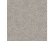 Strukturovaná vliesová tapeta na zeď šedá, AF24506, Affinity, Decoprint