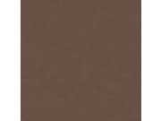 Vliesová tapeta na zeď, stěrka, hnědá, SO27021, Soleado, Decoprint