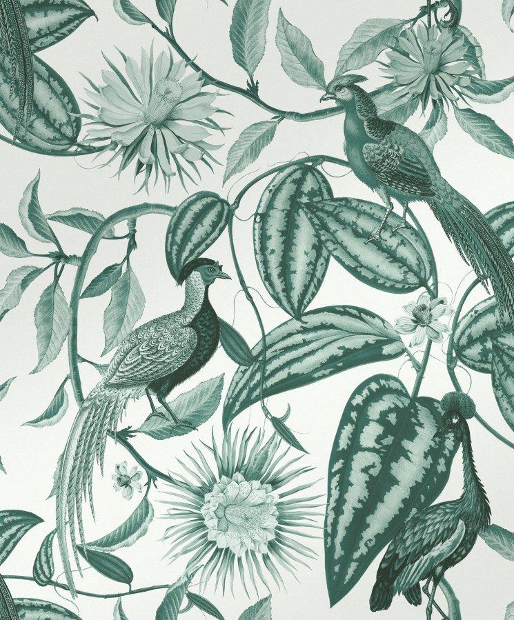 Šedo-zelená vliesová tapeta s květinami a ptáky, 120650, Retreat, Graham&Brown Premium - Vliesové tapety