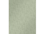 Pololesklá zelená vliesová tapeta na zeď, 120617, Retreat, Graham&Brown Premium