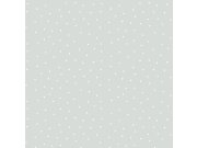 Šedá vliesová tapeta s bílými puntíky, 7007-1, Noa, ICH Wallcoverings