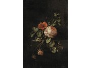 Vliesová obrazová tapeta s růžemi 158884, 186 x 279 cm, Blush, Esta Home