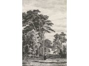 Vliesová obrazová tapeta na zeď, Rytina borovicového lesa 158886, 186 x 279 cm, Blush, Esta Home Tapety Yara - Esta Home