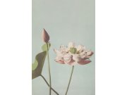 Vliesová obrazová tapeta na zeď, květ leknínu 158890, 186 x 279 cm, Blush, Esta Home