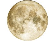 Předklížená vliesová tapeta na zeď, dekorace Měsíc, PLC059, Platinum Shapes, Decoprint