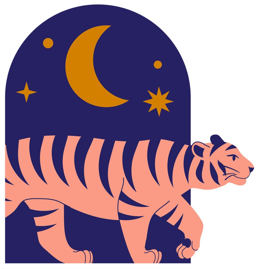 Předklížená vliesová tapeta na zeď, Růžový tygr, PLC053, Platinum Shapes, Decoprint - Vliesové tapety